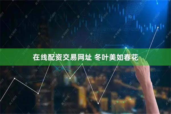 在线配资交易网址 冬叶美如春花