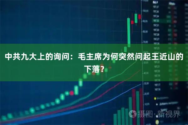 中共九大上的询问：毛主席为何突然问起王近山的下落？
