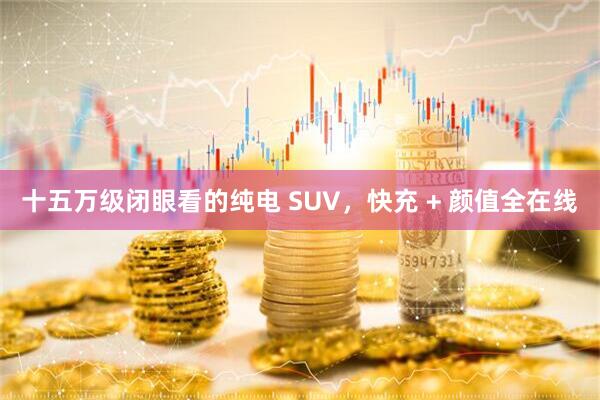 十五万级闭眼看的纯电 SUV,快充 + 颜值全在线