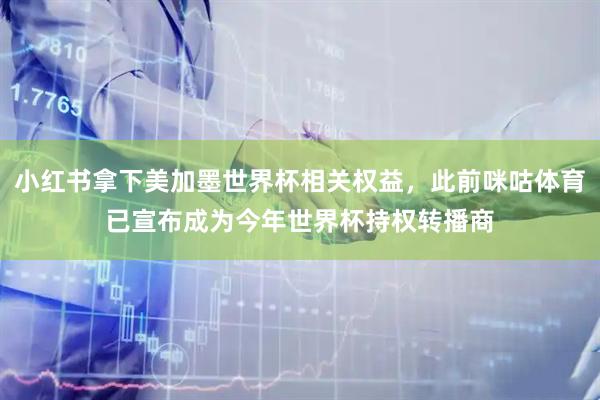 小红书拿下美加墨世界杯相关权益，此前咪咕体育已宣布成为今年世界杯持权转播商