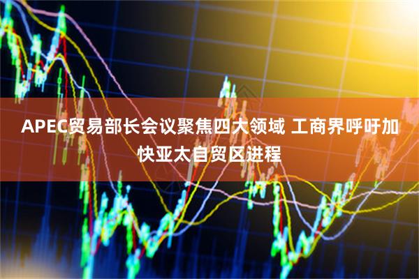 APEC贸易部长会议聚焦四大领域 工商界呼吁加快亚太自贸区进程