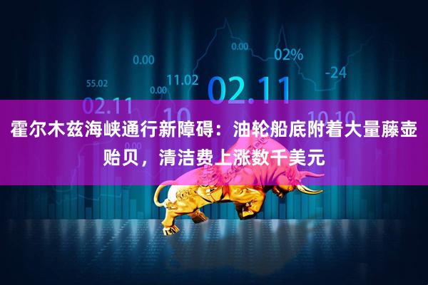 霍尔木兹海峡通行新障碍：油轮船底附着大量藤壶贻贝，清洁费上涨数千美元