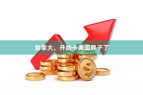 加拿大，开始卡美国脖子了