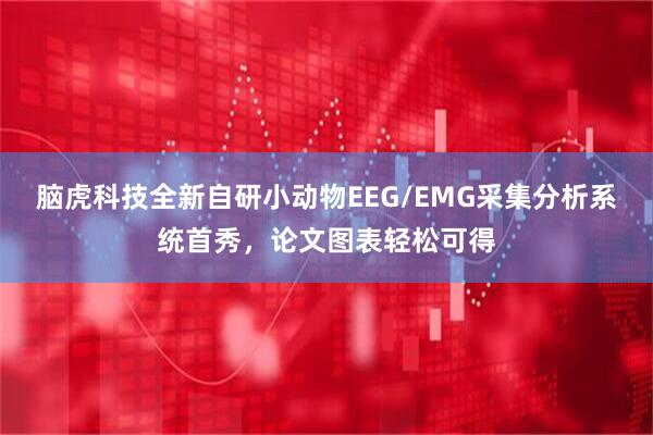 脑虎科技全新自研小动物EEG/EMG采集分析系统首秀，论文图表轻松可得